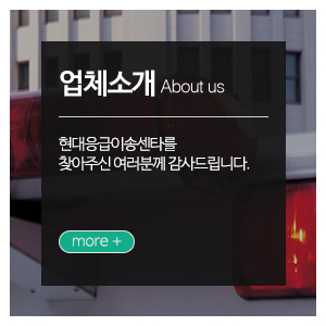 현대응급이송센타__