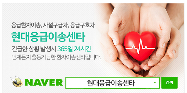 현대응급이송센타_